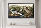 Detail view of artwork from Samsung Frame TV Art 4K Night Heron Tropical Bird Vintage Painting. Samsung TV Art Vintage. Digital Download Nature Art for Samsung Frame TV. (variation 2)