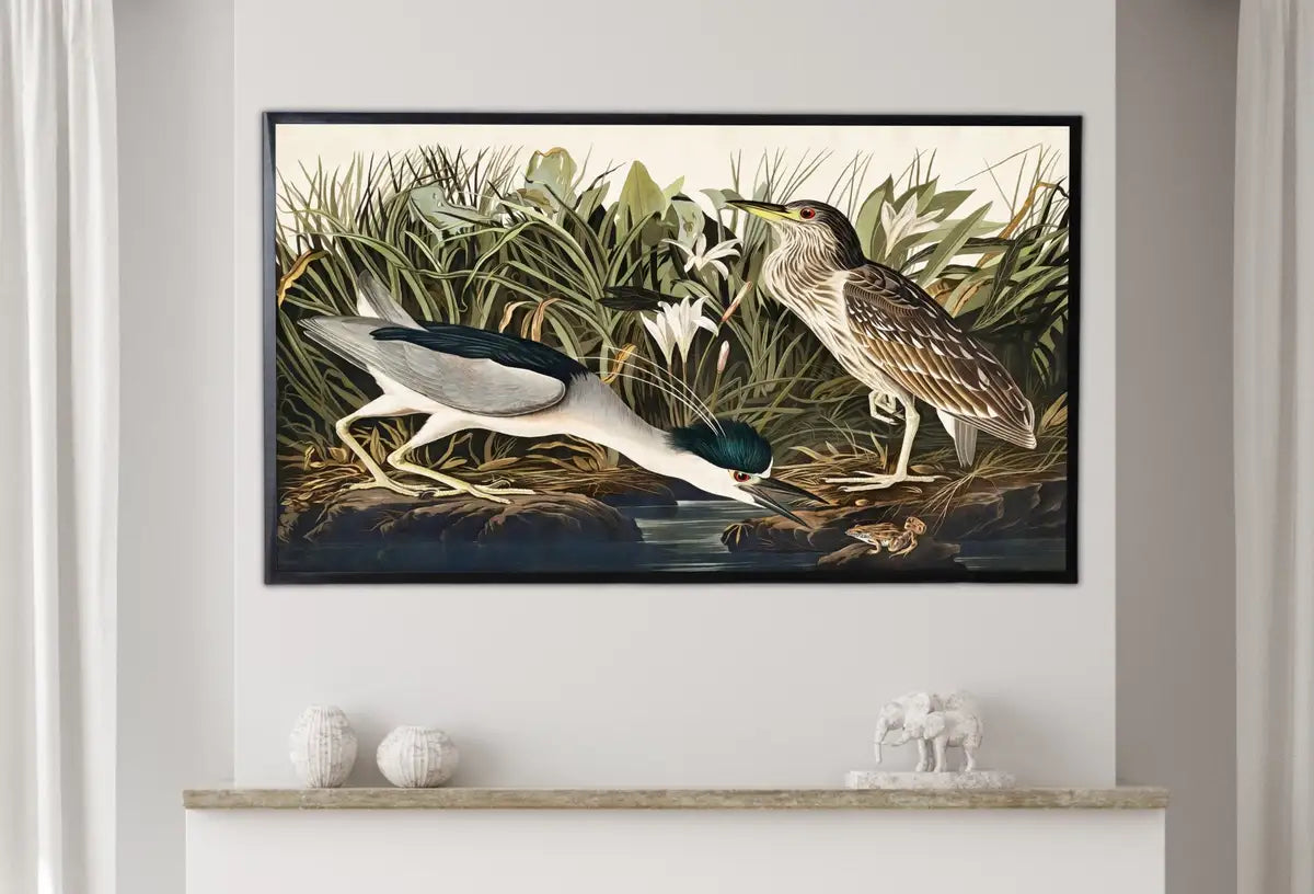 Detail view of artwork from Samsung Frame TV Art 4K Night Heron Tropical Bird Vintage Painting. Samsung TV Art Vintage. Digital Download Nature Art for Samsung Frame TV. (variation 2)