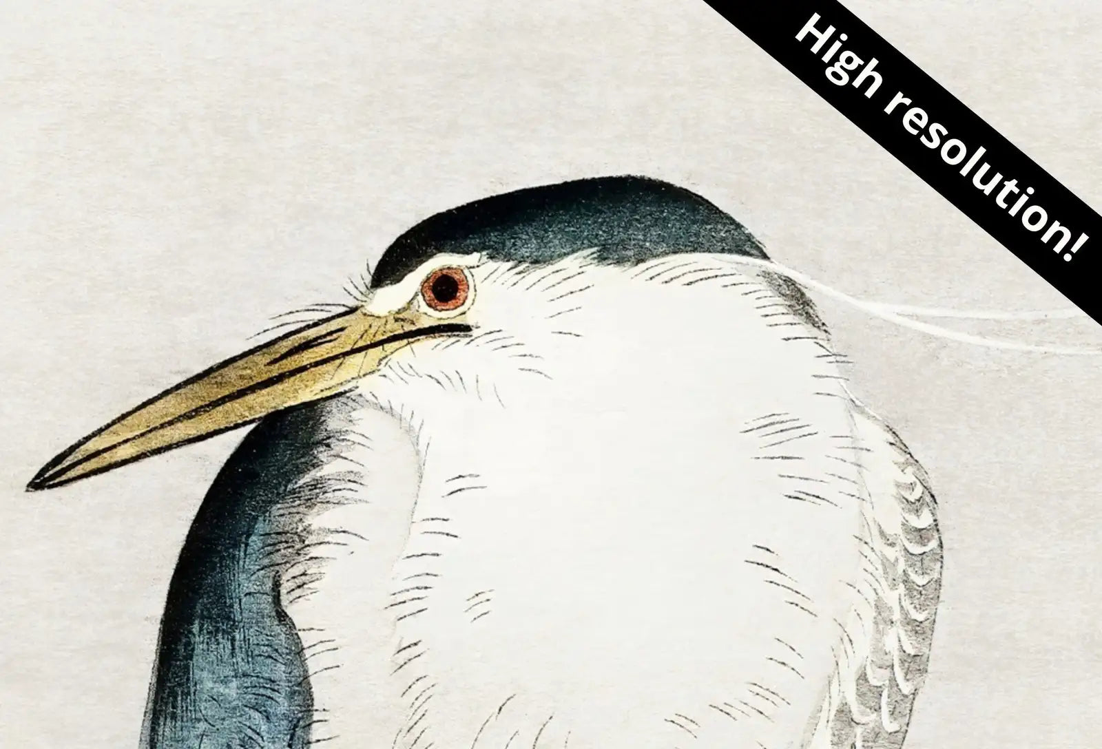Detail view of artwork from Samsung Frame TV Art 4K Quack on Erratic Branch Vintage Japanese Wall Art. Instant Download Antique Japanese Art for the Frame TV. Bird Art. (variation 1)