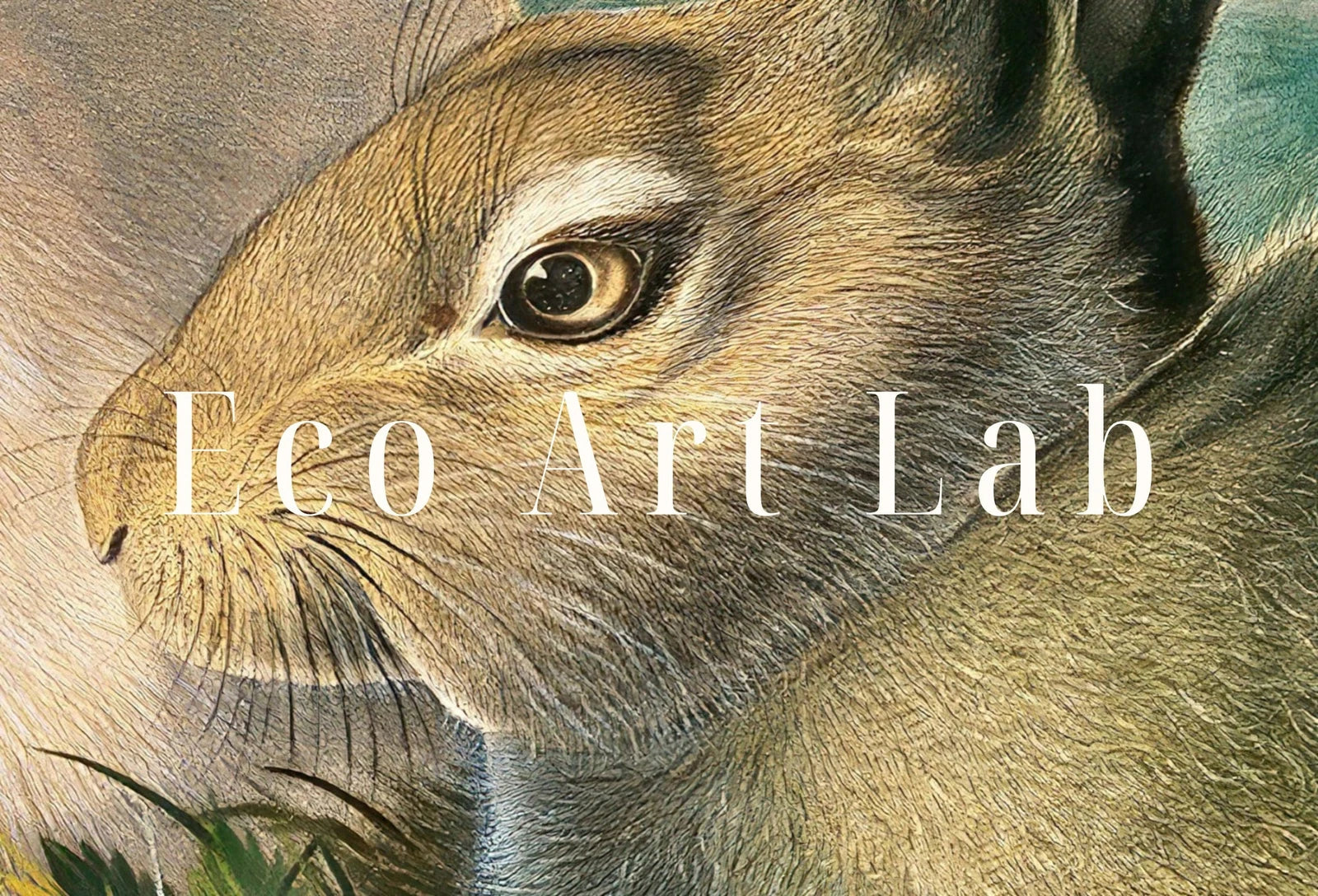 Detail view of artwork from Samsung Frame TV Art 4K Rabbits Vintage Painting. Instant Download Rabbits Wall Animal Nature Art for Samsung Frame TV. Rabbits Art for TV. (variation 1)