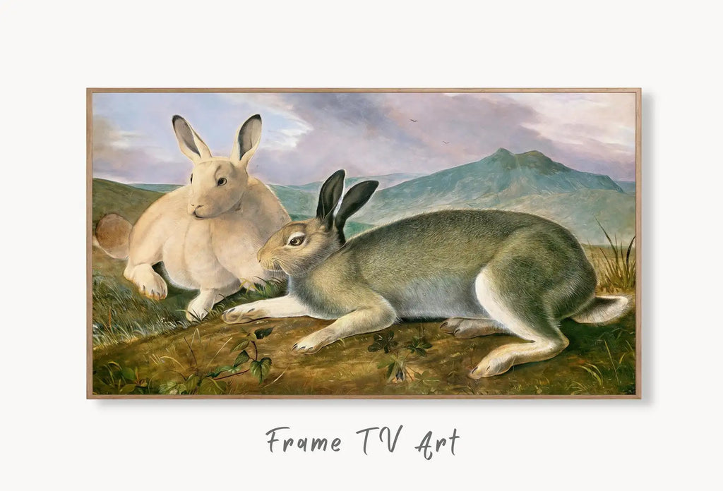 Samsung Frame TV Art 4K Rabbits Vintage Painting. Instant Download Rabbits Wall Animal Nature Art for Samsung Frame TV. Rabbits Art for TV displayed on Samsung Frame TV on a living room wall.