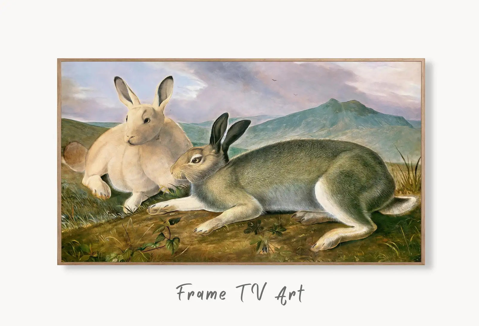 Samsung Frame TV Art 4K Rabbits Vintage Painting. Instant Download Rabbits Wall Animal Nature Art for Samsung Frame TV. Rabbits Art for TV displayed on Samsung Frame TV on a living room wall.
