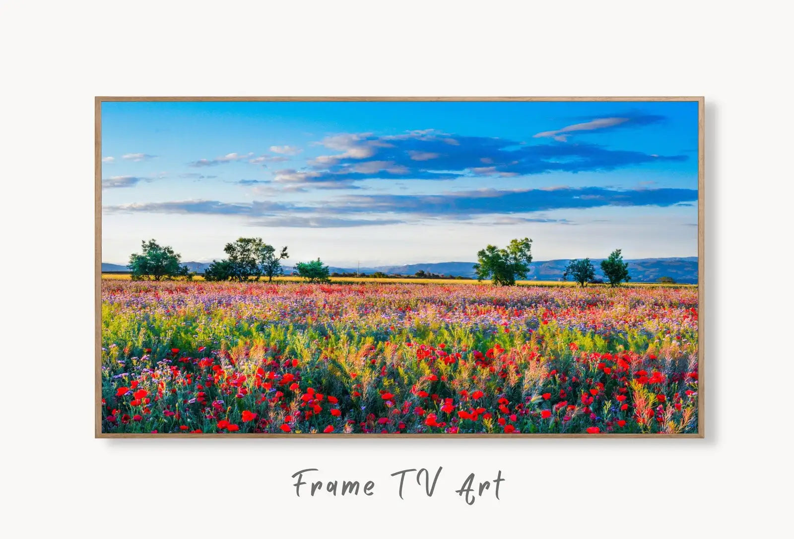Samsung Frame TV Art 4K Red Poppy Field Spring Landscape Digital Painting. Instant Download Colorful Spring Art for the Frame TV. Art for TV displayed on Samsung Frame TV on a living room wall.