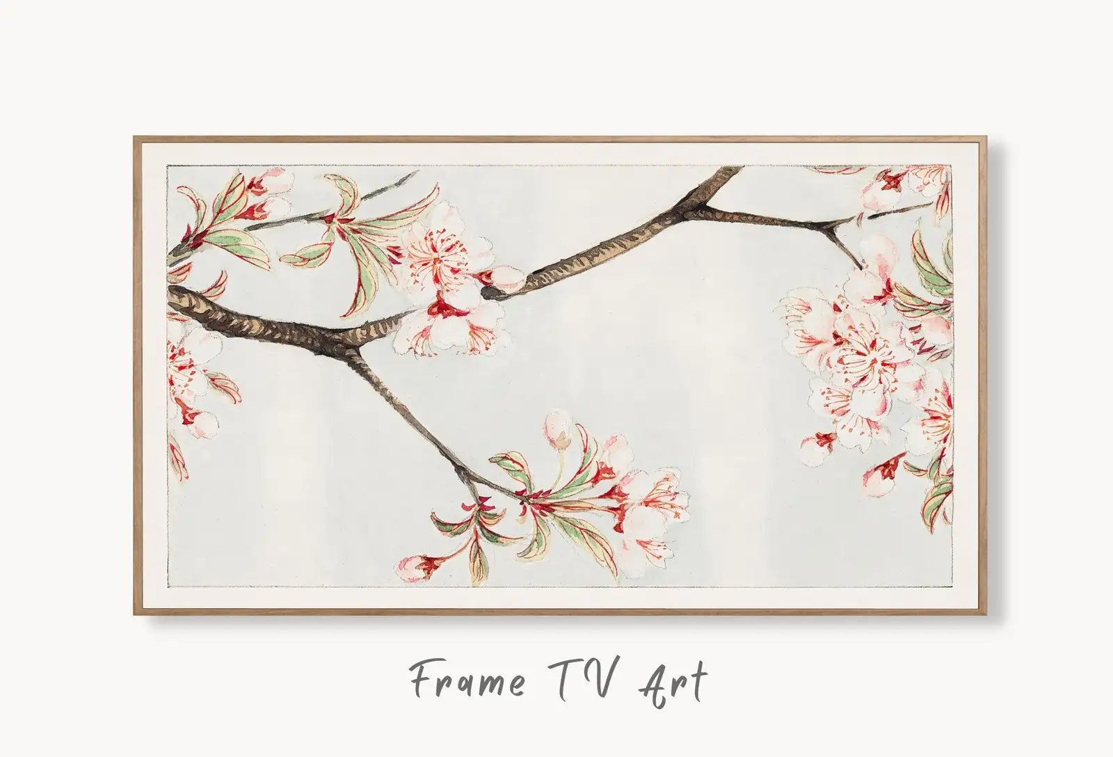 Samsung Frame TV Art 4K Sakura Cherry Blossom Vintage Japanese Art. Instant Download Antique Japanese Art for the Frame TV. Vintage Wall Art displayed on Samsung Frame TV on a living room wall.