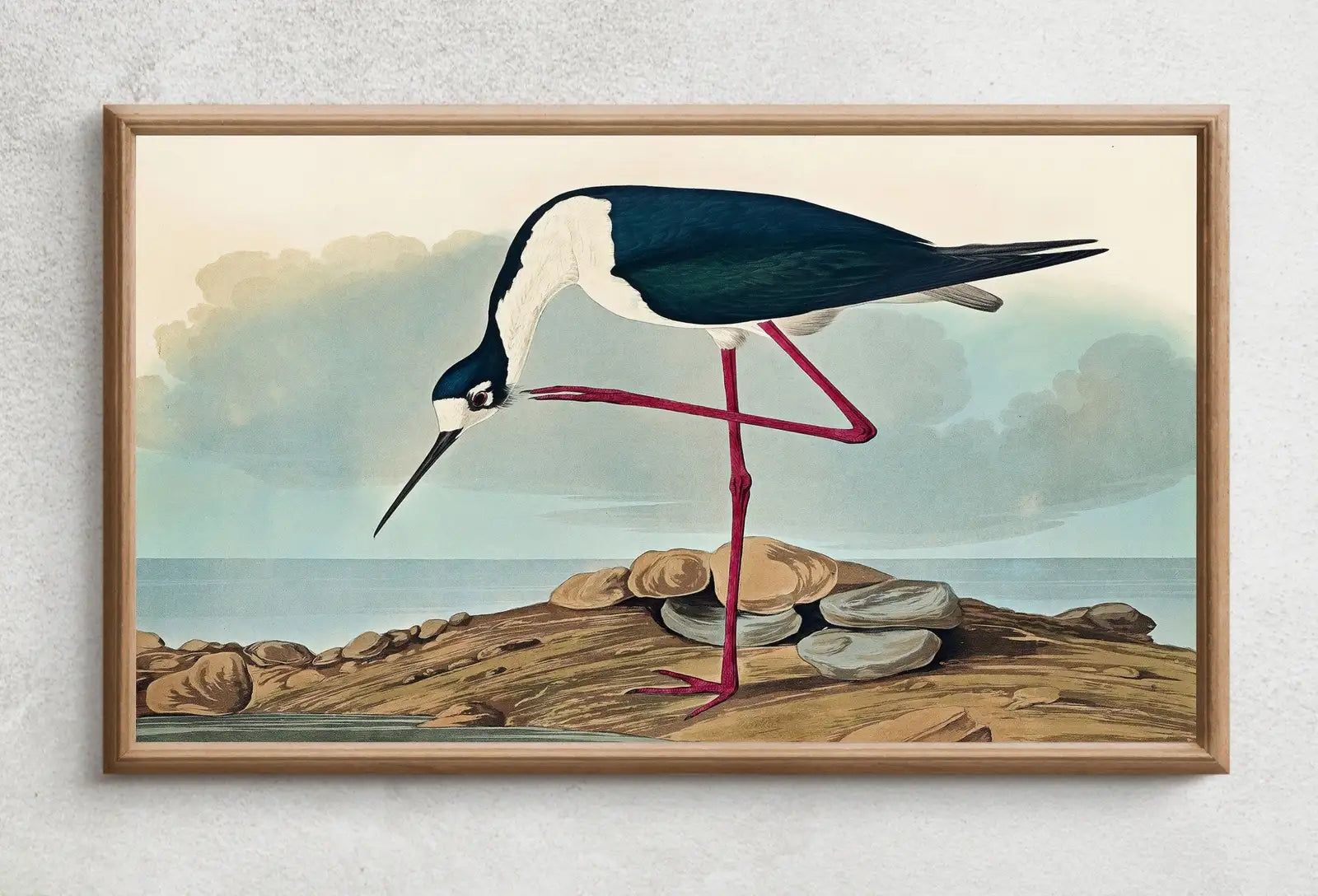 Second included artwork preview from Samsung Frame TV Art 4K Tropical Bird Vintage Painting. Samsung TV Art Digital Download. Long-legged Avocet. Nature Art for Samsung Frame TV featuring various scenes.