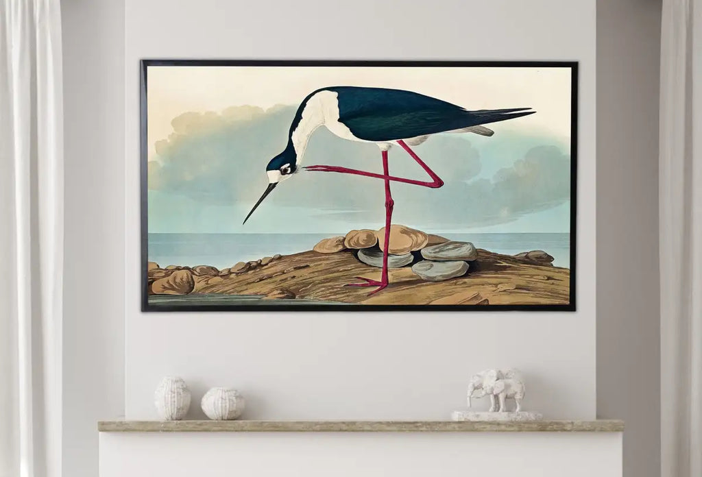 Detail view of artwork from Samsung Frame TV Art 4K Tropical Bird Vintage Painting. Samsung TV Art Digital Download. Long-legged Avocet. Nature Art for Samsung Frame TV. (variation 1)