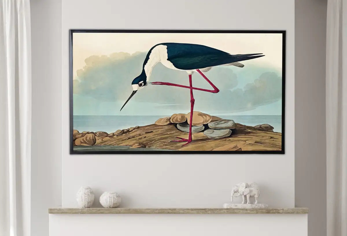 Detail view of artwork from Samsung Frame TV Art 4K Tropical Bird Vintage Painting. Samsung TV Art Digital Download. Long-legged Avocet. Nature Art for Samsung Frame TV. (variation 1)