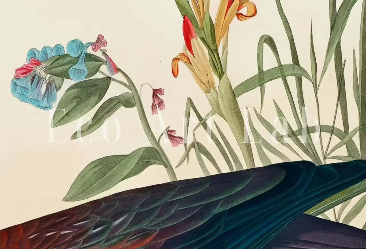 Samsung Frame TV Art 4K Tropical Bird Vintage Painting. Glossy Ibis Samsung TV Art. . Nature Art for Samsung Frame TV – Frame TV  Art