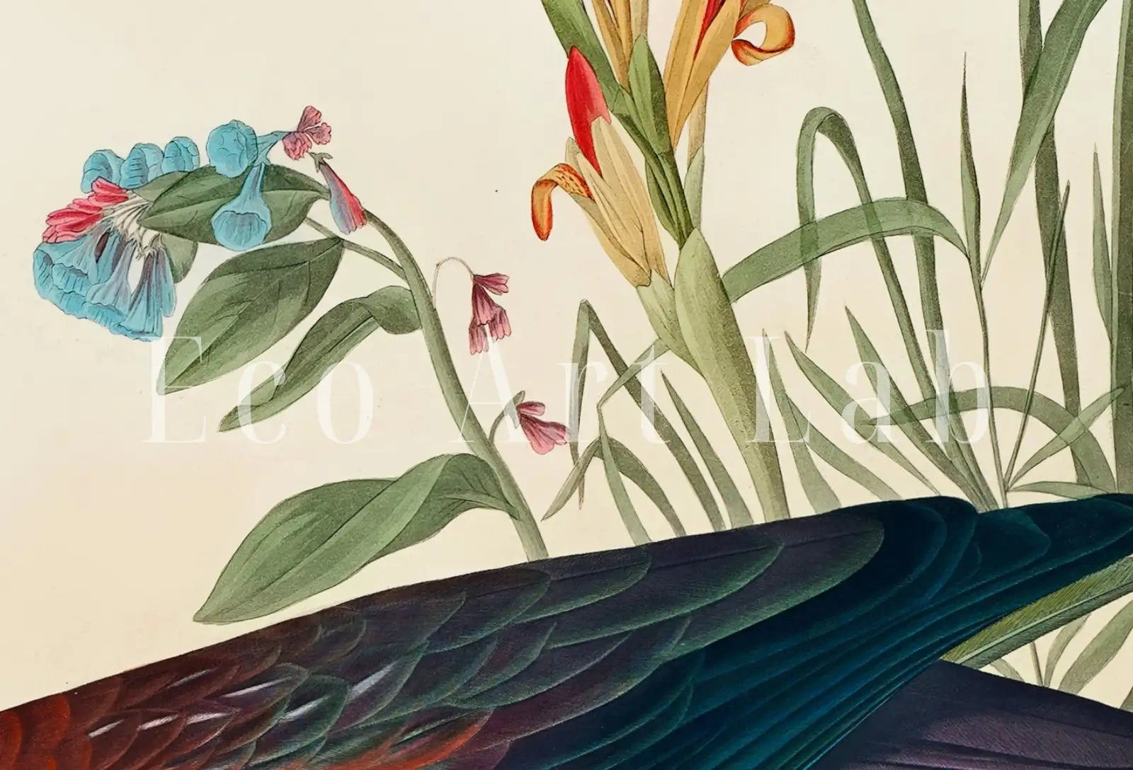 Detail view of artwork from Samsung Frame TV Art 4K Tropical Bird Vintage Painting. Glossy Ibis Samsung TV Art. Digital Download. Nature Art for Samsung Frame TV. (variation 1)