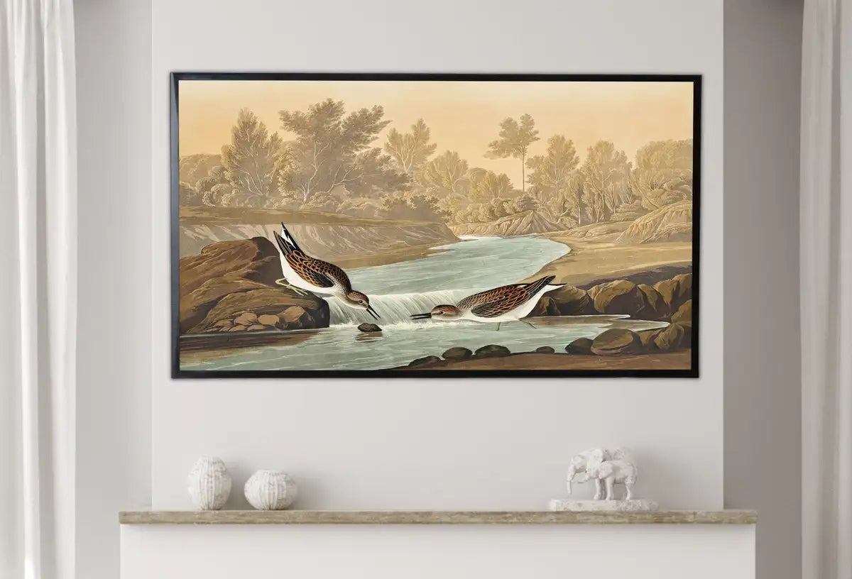 Detail view of artwork from Samsung Frame TV Art 4K Tropical Bird Vintage Painting. Little Sandpiper Samsung TV Art. Digital Download. Nature Art for Samsung Frame TV. (variation 2)