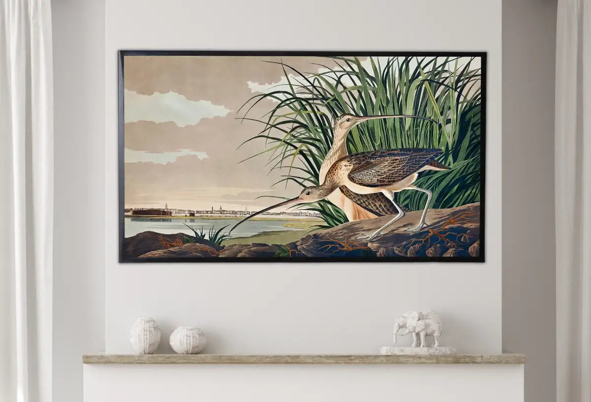 Detail view of artwork from Samsung Frame TV Art 4K Tropical Bird Vintage Painting. Long-billed Curlew Samsung TV Art. Digital Download. Nature Art for Samsung Frame TV. (variation 2)
