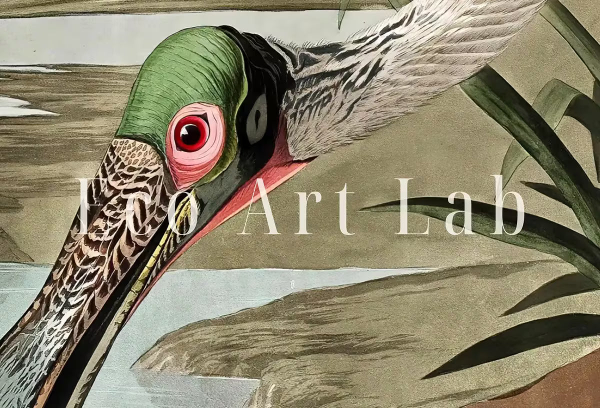 Samsung Frame TV Art 4K Tropical Bird Vintage Painting. Pink Spoonbill Samsung TV Art. . Nature Art for Samsung Frame TV – Frame TV  Art