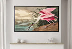 Samsung Frame TV Art 4K Tropical Bird Vintage Painting. Pink Spoonbill Samsung TV Art. . Nature Art for Samsung Frame TV – Frame TV  Art