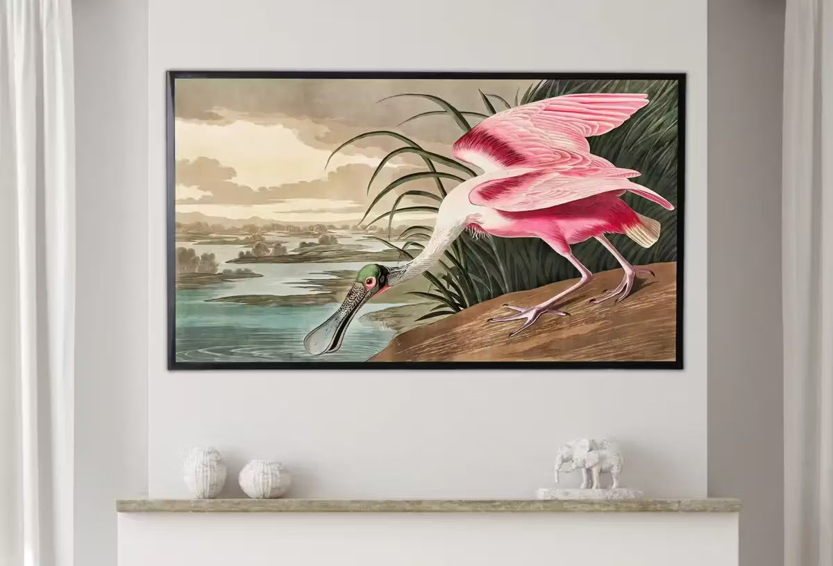 Samsung Frame TV Art 4K Tropical Bird Vintage Painting. Pink Spoonbill Samsung TV Art. . Nature Art for Samsung Frame TV – Frame TV  Art
