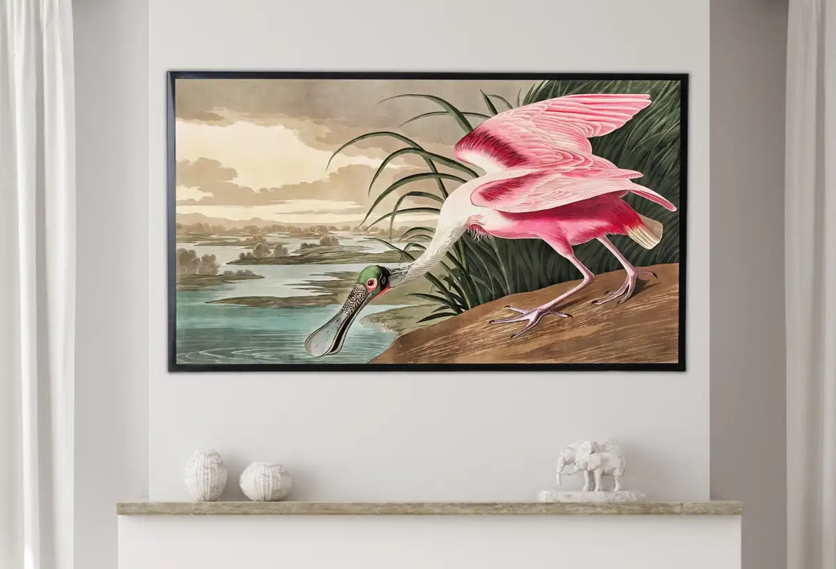 Detail view of artwork from Samsung Frame TV Art 4K Tropical Bird Vintage Painting. Pink Spoonbill Samsung TV Art. Digital Download. Nature Art for Samsung Frame TV. (variation 2)