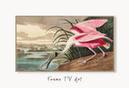 Samsung Frame TV Art 4K Tropical Bird Vintage Painting. Pink Spoonbill Samsung TV Art. . Nature Art for Samsung Frame TV – Frame TV  Art