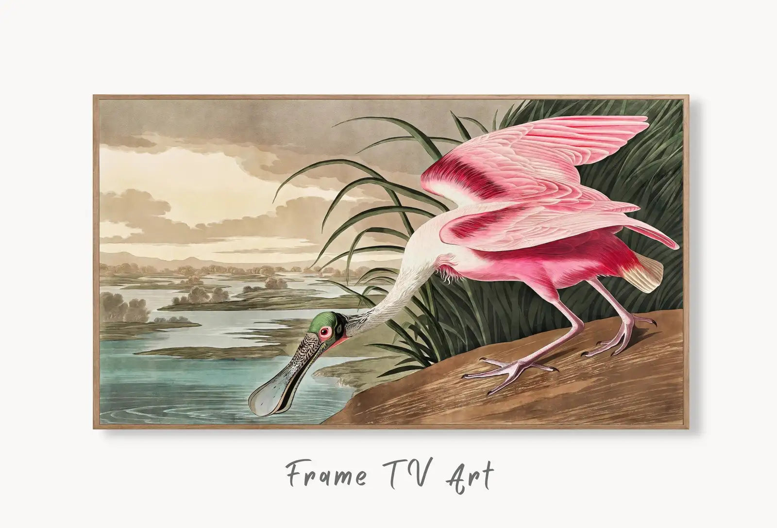 Samsung Frame TV Art 4K Tropical Bird Vintage Painting. Pink Spoonbill Samsung TV Art. Digital Download. Nature Art for Samsung Frame TV displayed on Samsung Frame TV on a living room wall.