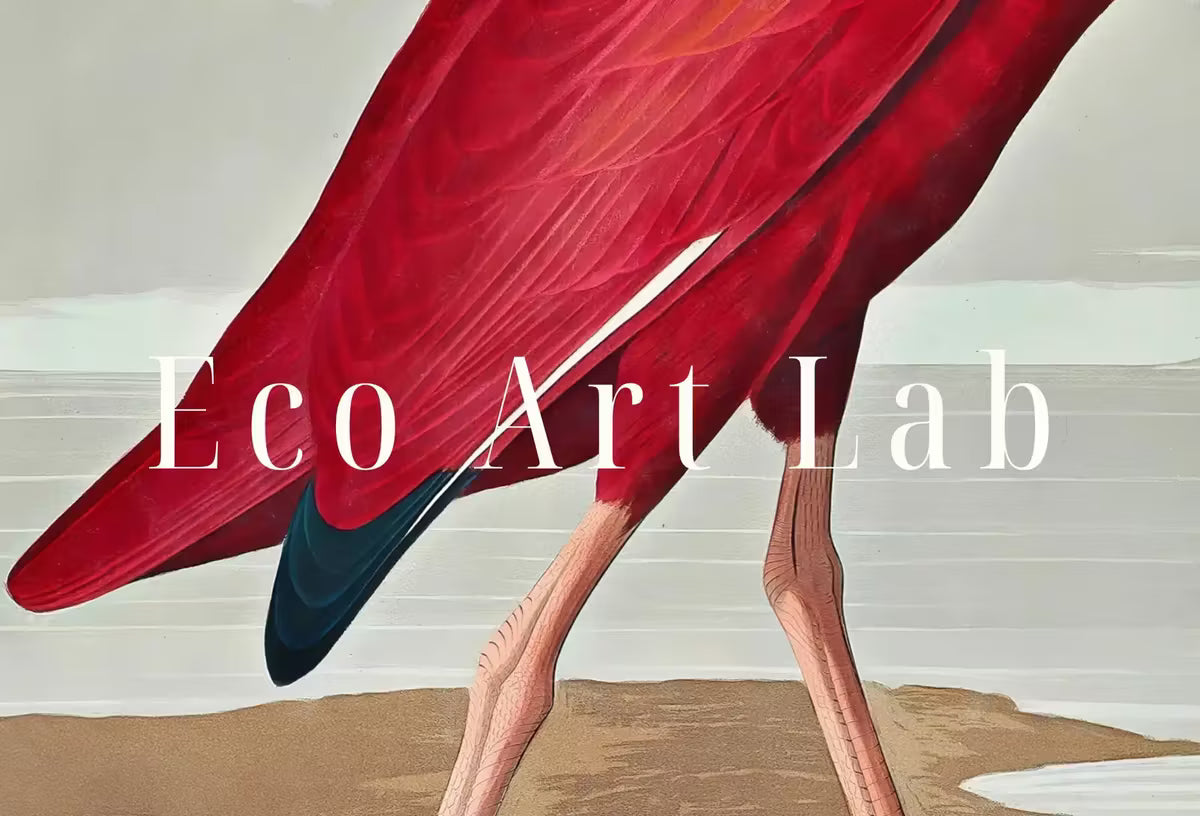 Samsung Frame TV Art 4K Tropical Bird Vintage Painting. Scarlet Ibis Samsung TV Art. . Nature Art for Samsung Frame TV – Frame TV  Art