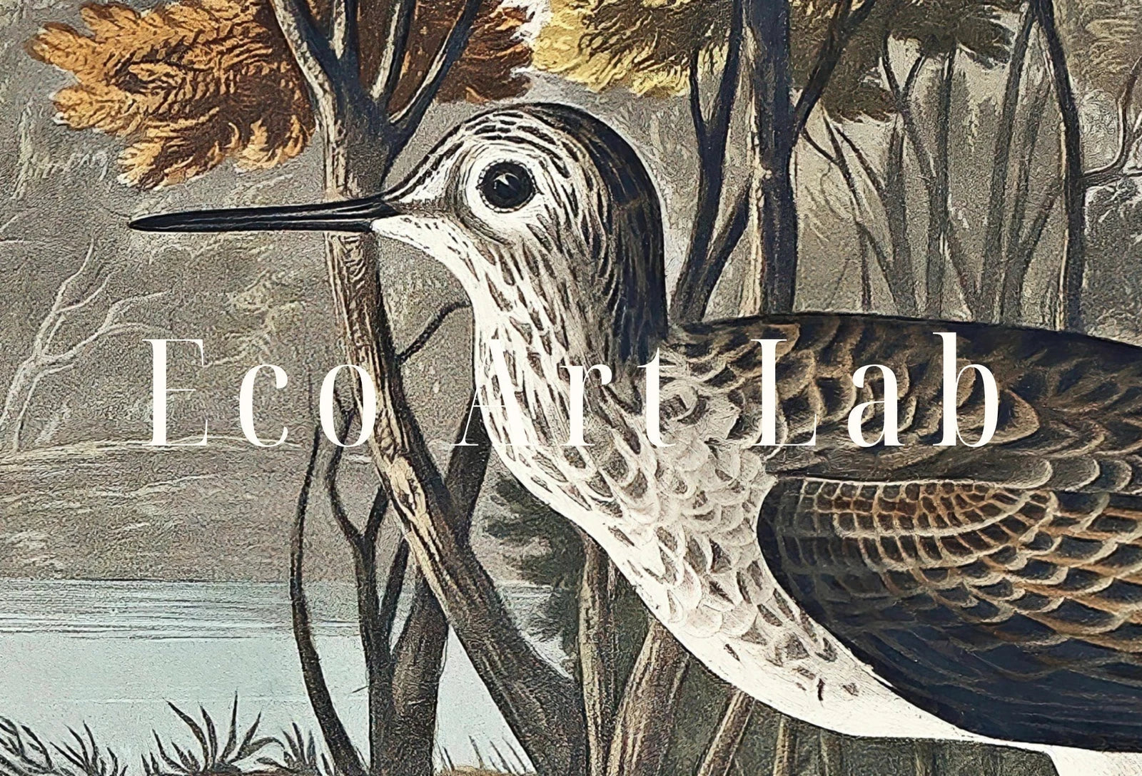 Included artwork preview showing first selection of artworks from Samsung Frame TV Art 4K Tropical Bird Vintage Painting. Yellow Shank Samsung TV Art. Digital Download. Nature Art for Samsung Frame TV.