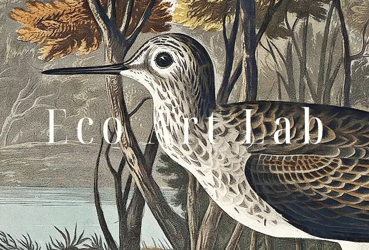 Samsung Frame TV Art 4K Tropical Bird Vintage Painting. Yellow Shank Samsung TV Art. . Nature Art for Samsung Frame TV – Frame TV  Art