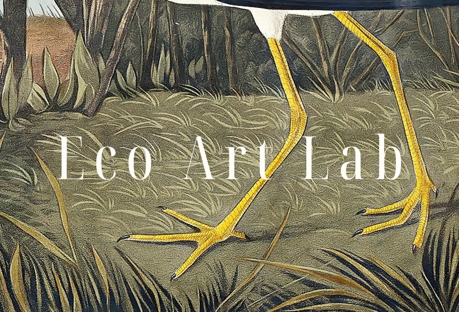 Detail view of artwork from Samsung Frame TV Art 4K Tropical Bird Vintage Painting. Yellow Shank Samsung TV Art. Digital Download. Nature Art for Samsung Frame TV. (variation 1)