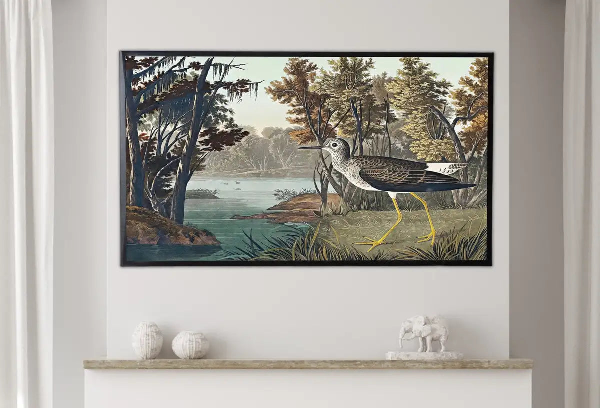 Detail view of artwork from Samsung Frame TV Art 4K Tropical Bird Vintage Painting. Yellow Shank Samsung TV Art. Digital Download. Nature Art for Samsung Frame TV. (variation 2)