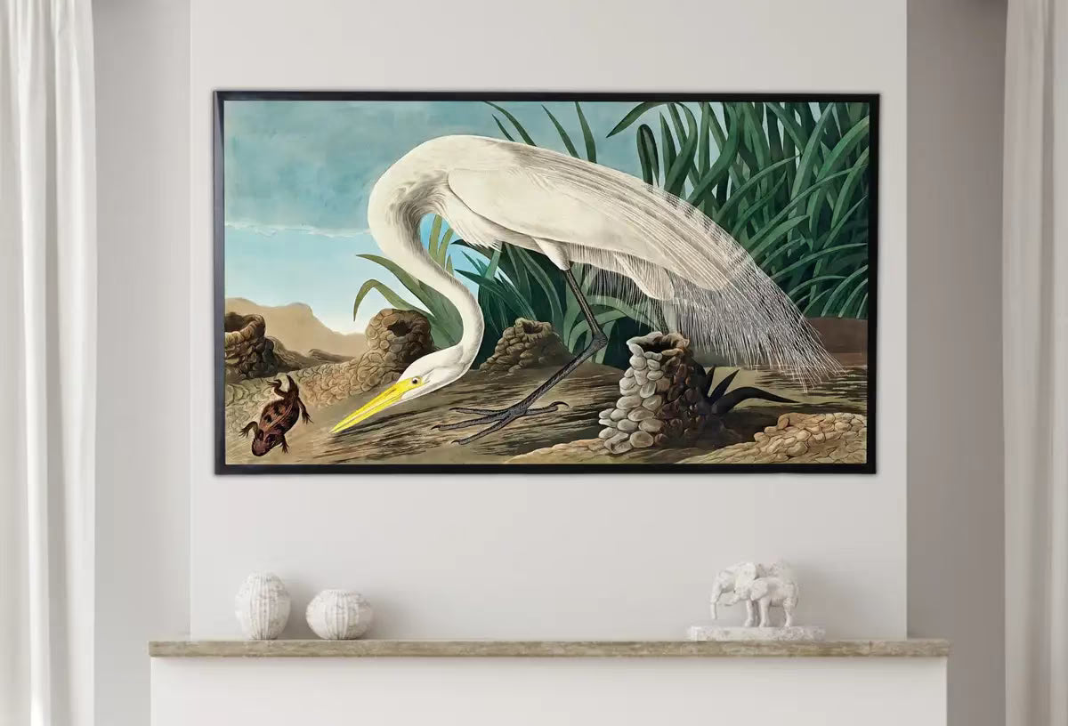 Samsung Frame TV Art 4K Tropical Bird White Heron Vintage Painting. Samsung TV Art Vintage.  Nature Art for Samsung Frame TV – Frame TV  Art