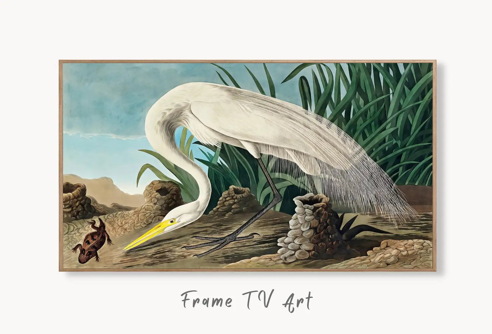 Samsung Frame TV Art 4K Tropical Bird White Heron Vintage Painting. Samsung TV Art Vintage. Digital Download Nature Art for Samsung Frame TV displayed on Samsung Frame TV on a living room wall.