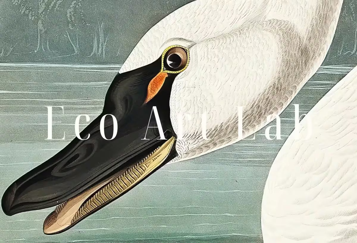 Samsung Frame TV Art 4K Tropical Bird White Swan Vintage Painting. Samsung TV Art Vintage  Nature Art for Samsung Frame TV – Frame TV  Art