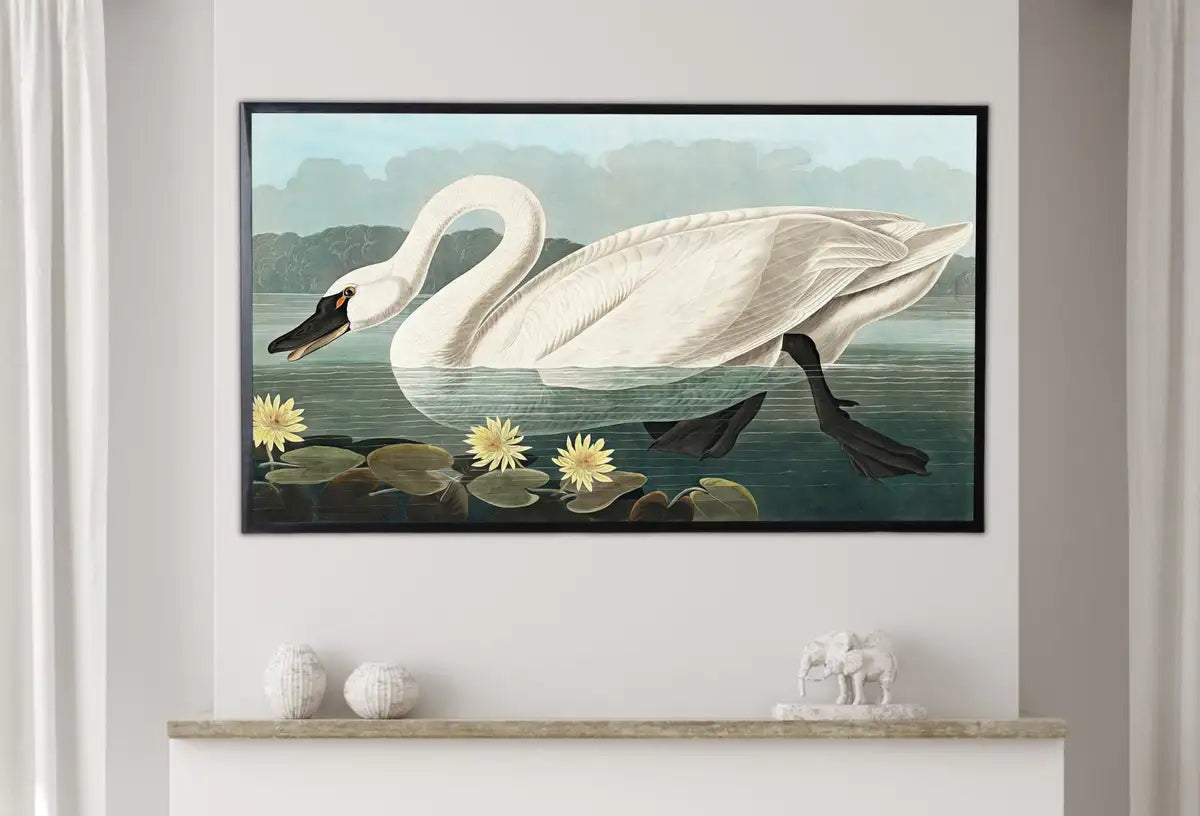 Detail view of artwork from Samsung Frame TV Art 4K Tropical Bird White Swan Vintage Painting. Samsung TV Art Vintage Digital Download Nature Art for Samsung Frame TV. (variation 2)