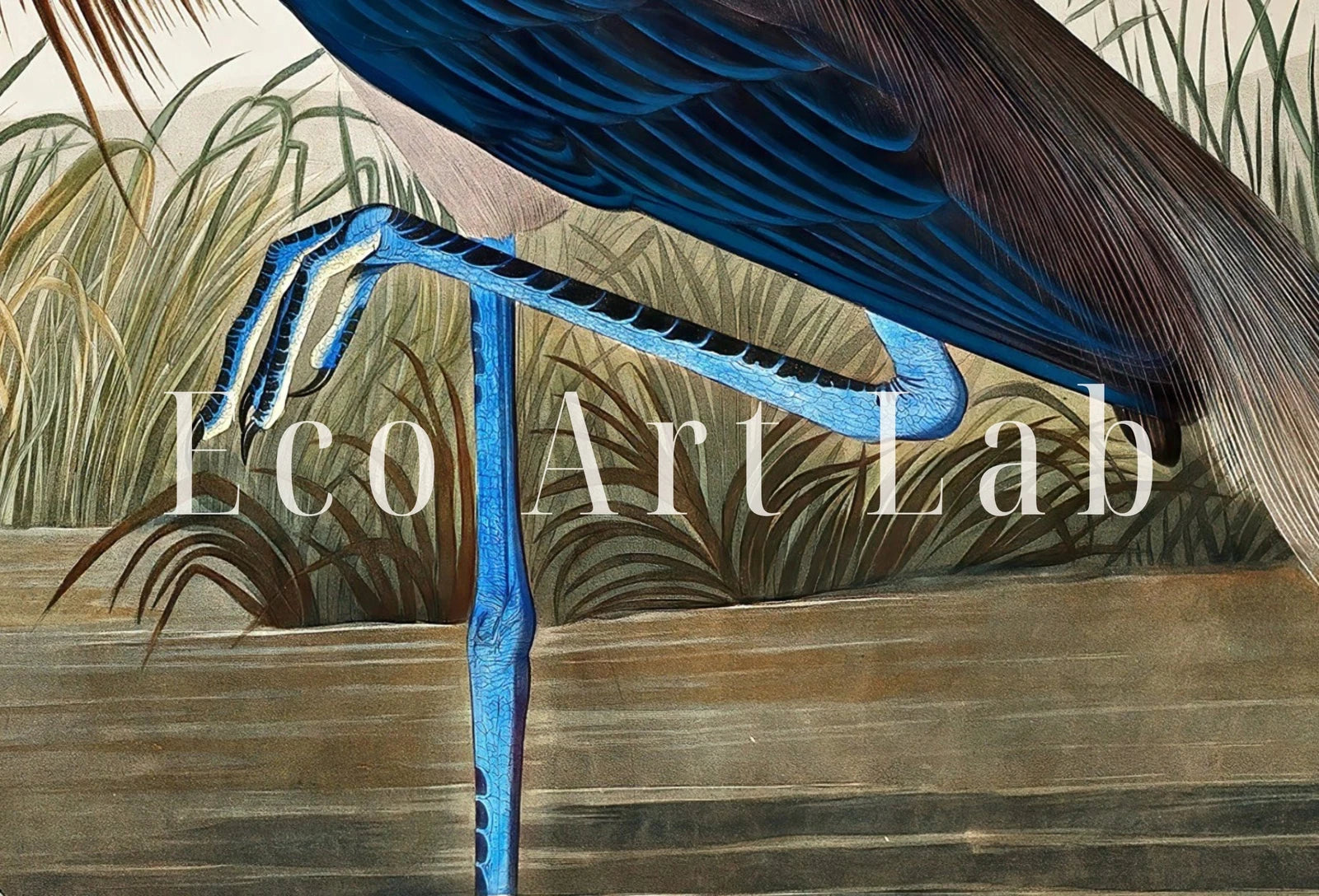Detail view of artwork from Samsung Frame TV Art 4K Two Herons Tropical Bird Vintage Painting. Samsung TV Art Vintage. Digital Download. Nature Art for Samsung Frame TV. (variation 1)