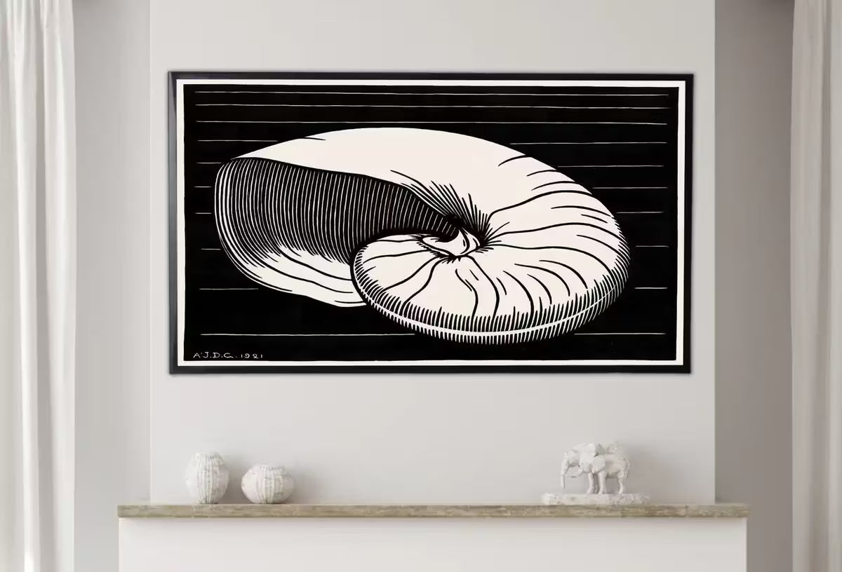 Samsung Frame TV Art 4K Vintage Art Nouveau Sea Shell Painting. Instant Download Black & White Art for the Samsung Frame TV. Art for TV – Frame TV  Art