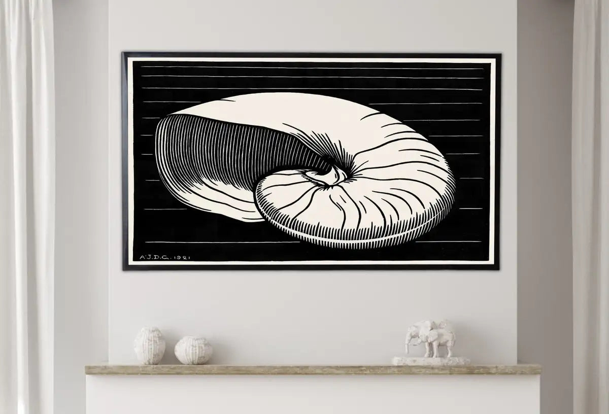 Detail view of artwork from Samsung Frame TV Art 4K Vintage Art Nouveau Sea Shell Painting. Instant Download Black & White Art for the Samsung Frame TV. Art for TV. (variation 2)