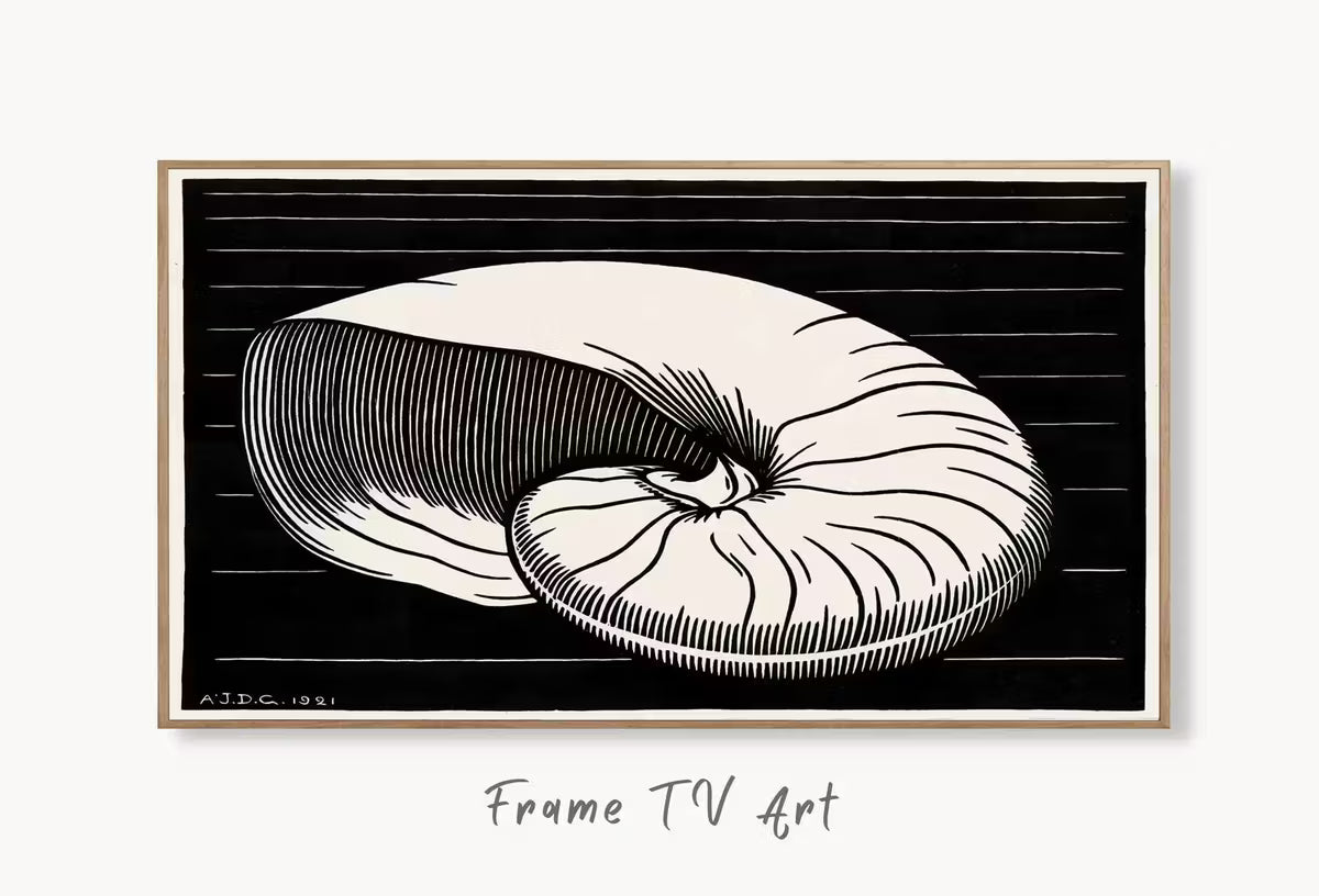 Samsung Frame TV Art 4K Vintage Art Nouveau Sea Shell Painting. Instant Download Black & White Art for the Samsung Frame TV. Art for TV – Frame TV  Art