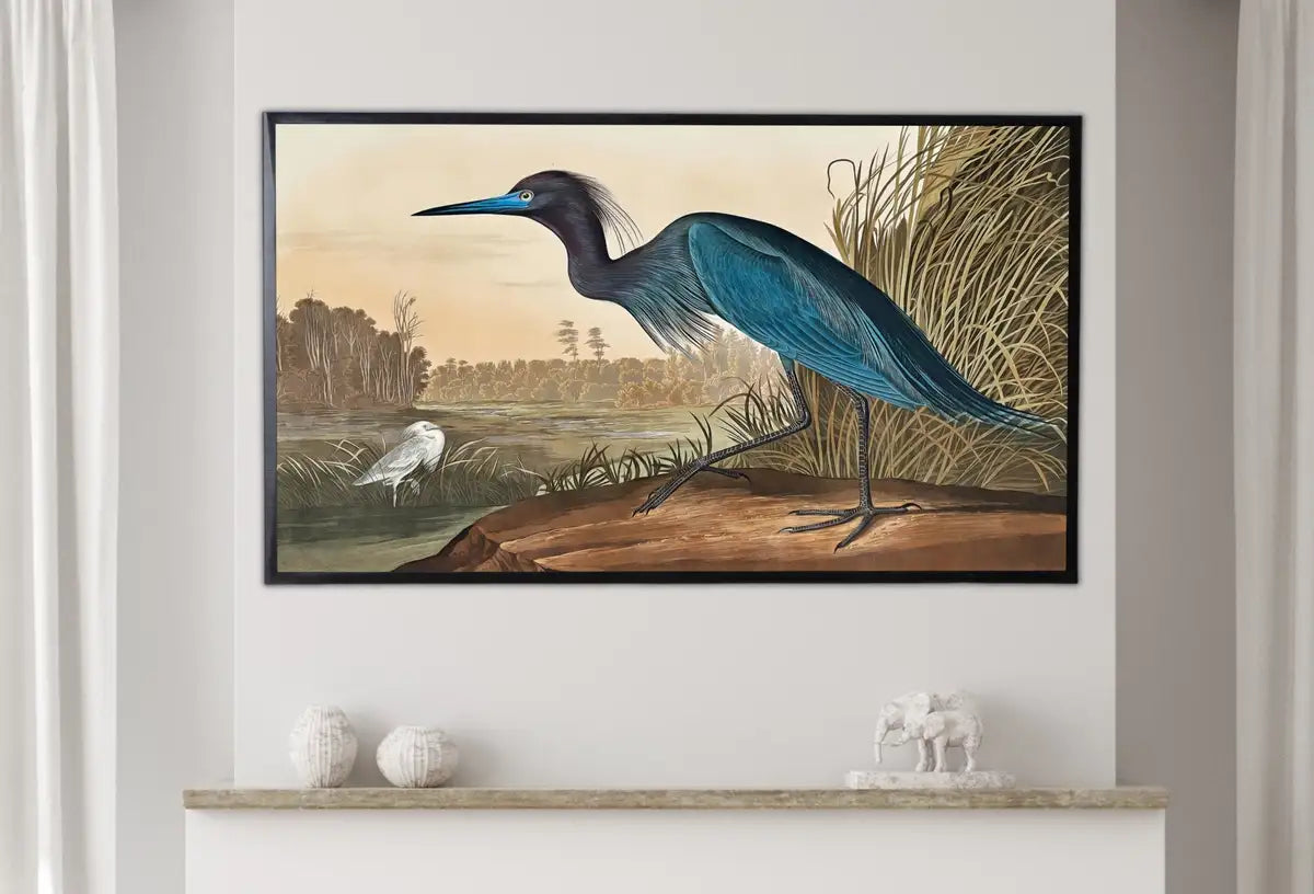 Detail view of artwork from Samsung Frame TV Art 4K Vintage Blue Heron Tropical Bird Painting. Samsung TV Art Vintage. Digital Download. Nature Art for Samsung Frame TV. (variation 2)