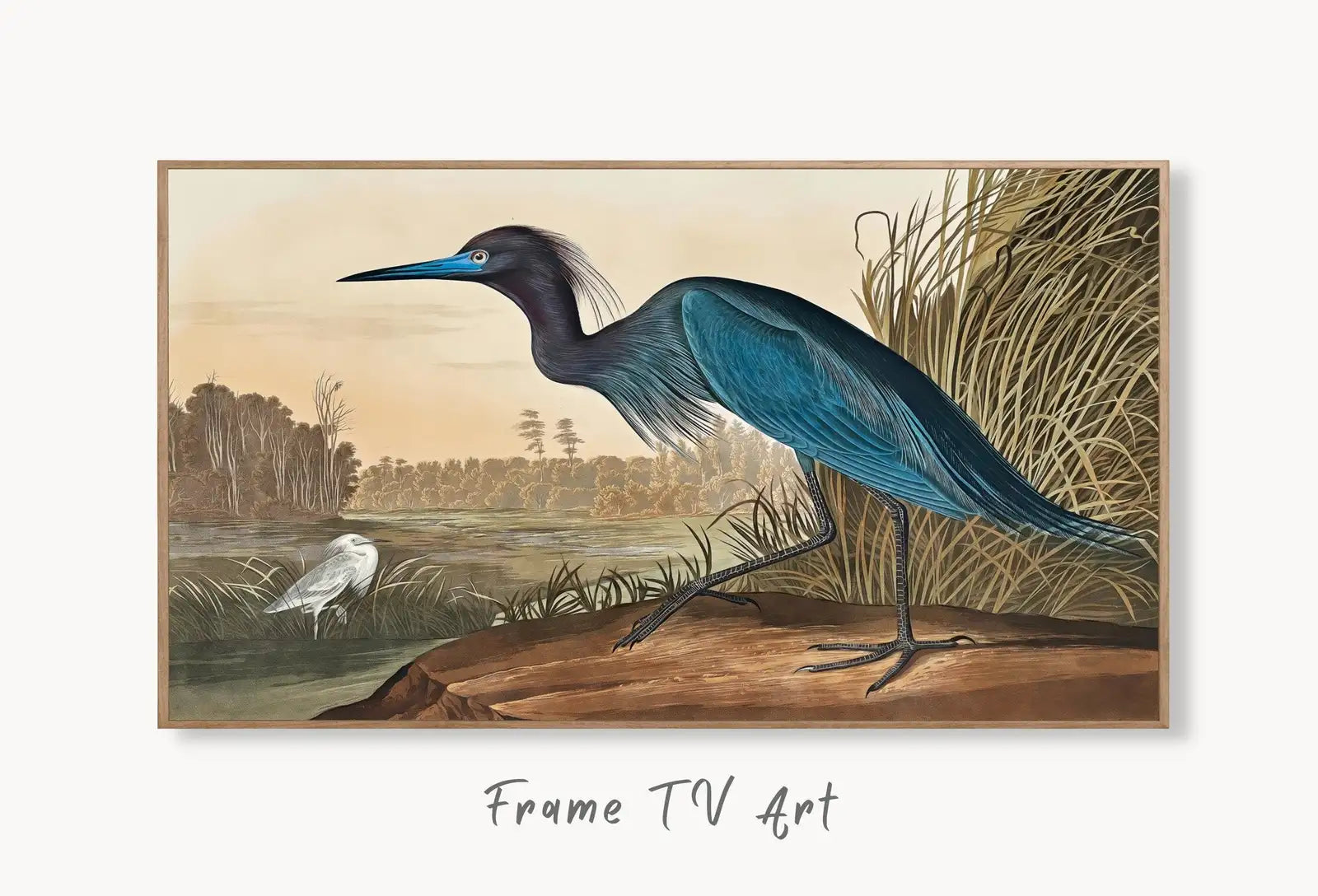 Samsung Frame TV Art 4K Vintage Blue Heron Tropical Bird Painting. Samsung TV Art Vintage. Digital Download. Nature Art for Samsung Frame TV displayed on Samsung Frame TV on a living room wall.