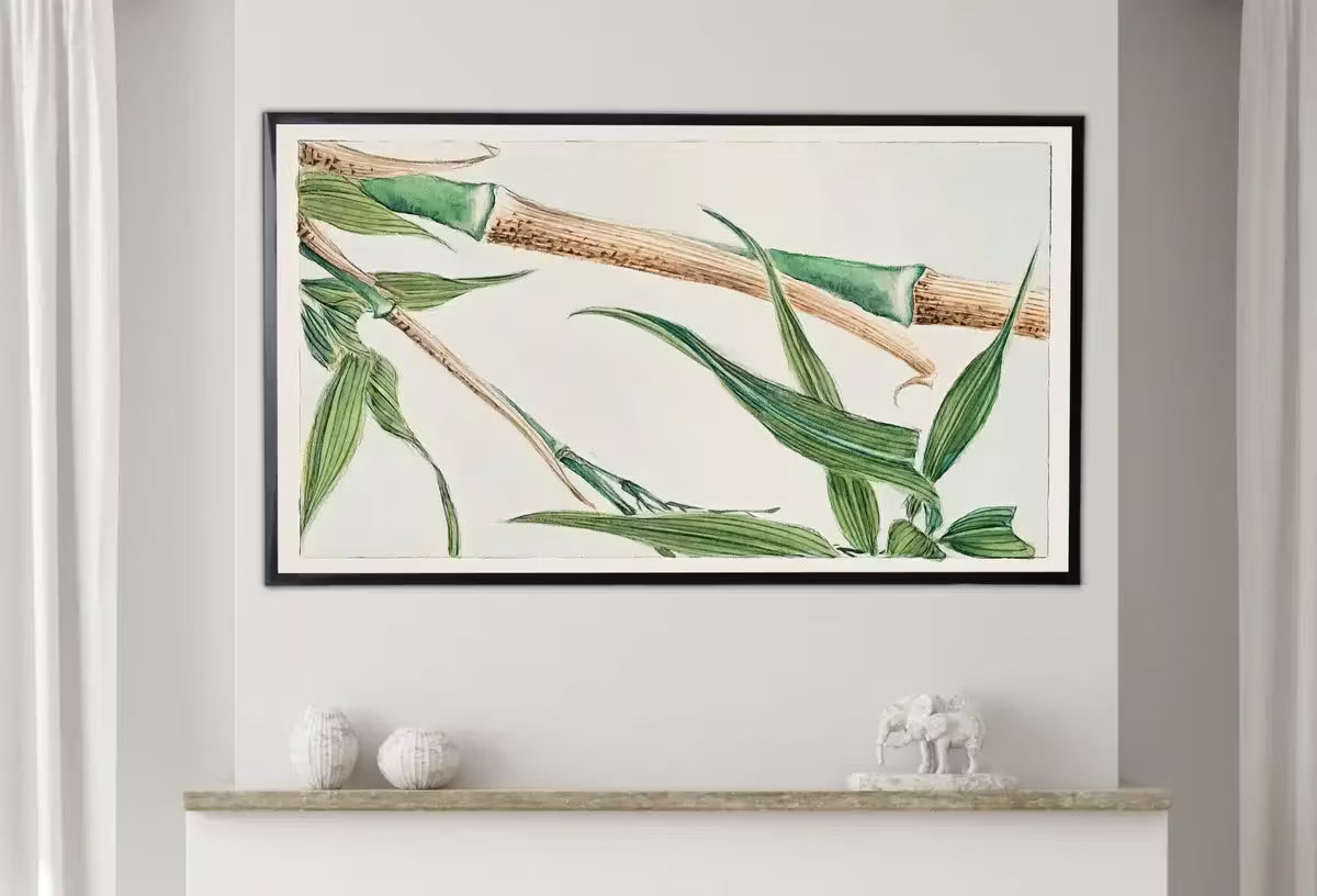 Samsung Frame TV Art 4K Vintage Japanese Bamboo Botanical Drawing. Instant Download Antique Japanese Art for Frame TV. Vintage Wall Art – Frame TV  Art