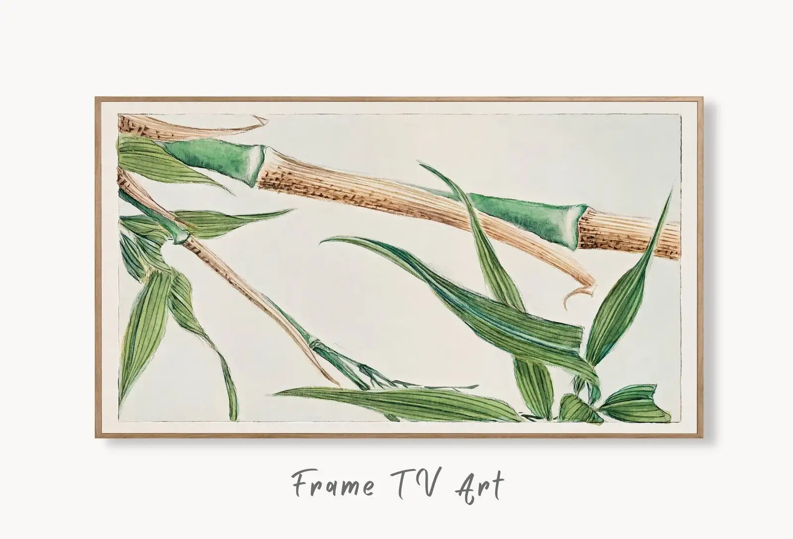 Samsung Frame TV Art 4K Vintage Japanese Bamboo Botanical Drawing. Instant Download Antique Japanese Art for Frame TV. Vintage Wall Art displayed on Samsung Frame TV on a living room wall.