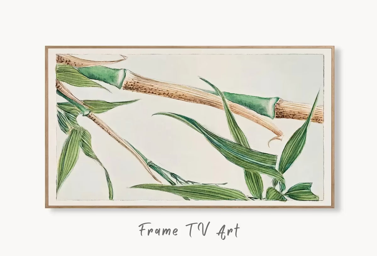 Samsung Frame TV Art 4K Vintage Japanese Bamboo Botanical Drawing. Instant Download Antique Japanese Art for Frame TV. Vintage Wall Art – Frame TV  Art