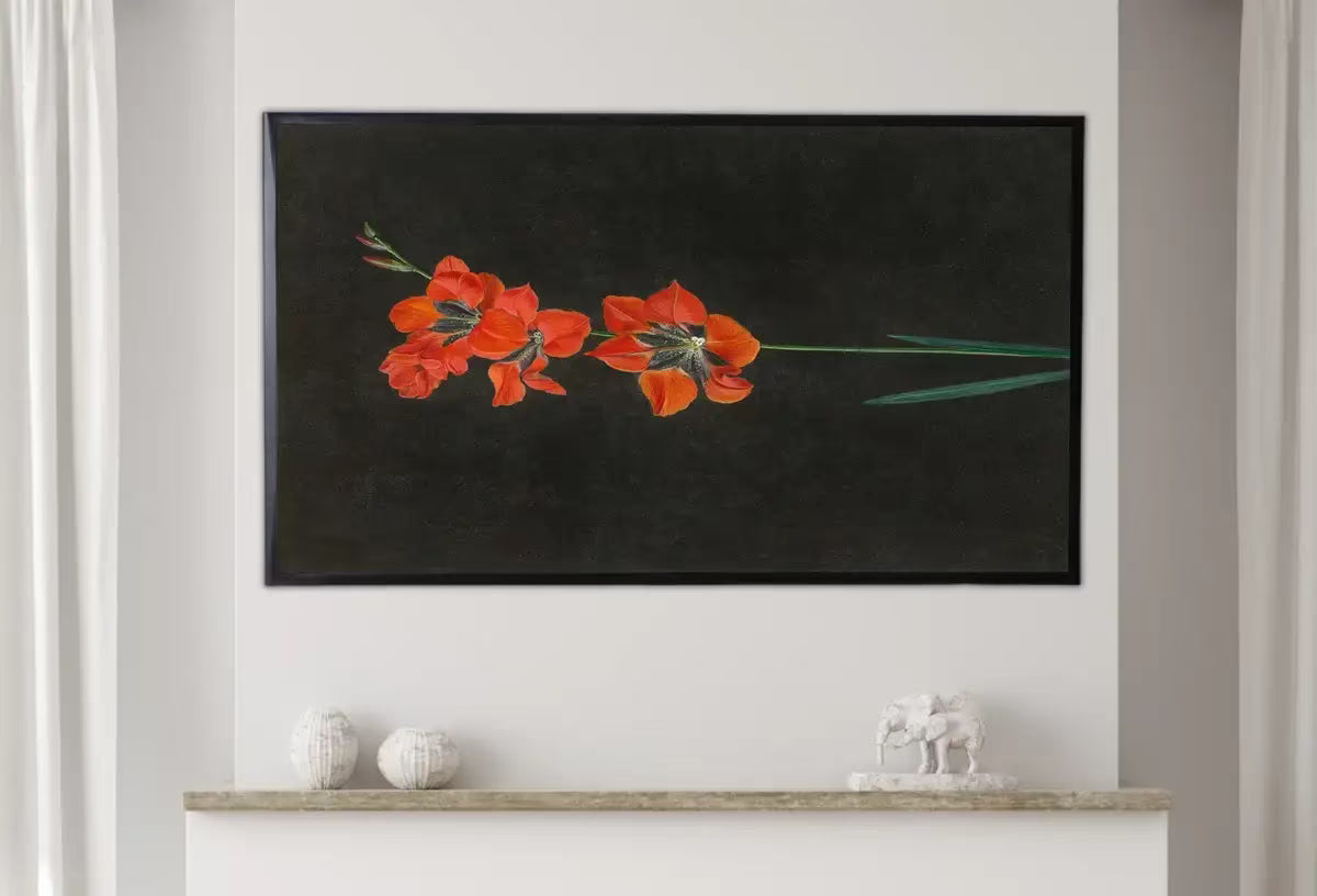 Samsung Frame TV Art 4K Vintage Red Lily Flower Painting. Antique Botanical Oil Painting. Instant Download Farmhouse Moody TV Art – Frame TV  Art