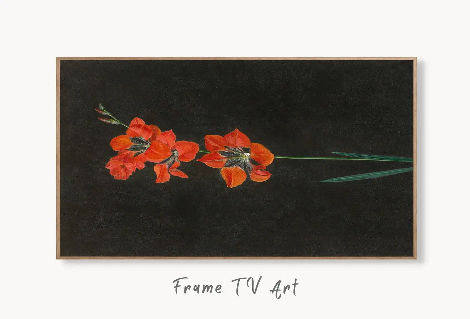 Samsung Frame TV Art 4K Vintage Red Lily Flower Painting. Antique Botanical Oil Painting. Instant Download Farmhouse Moody TV Art displayed on Samsung Frame TV on a living room wall.