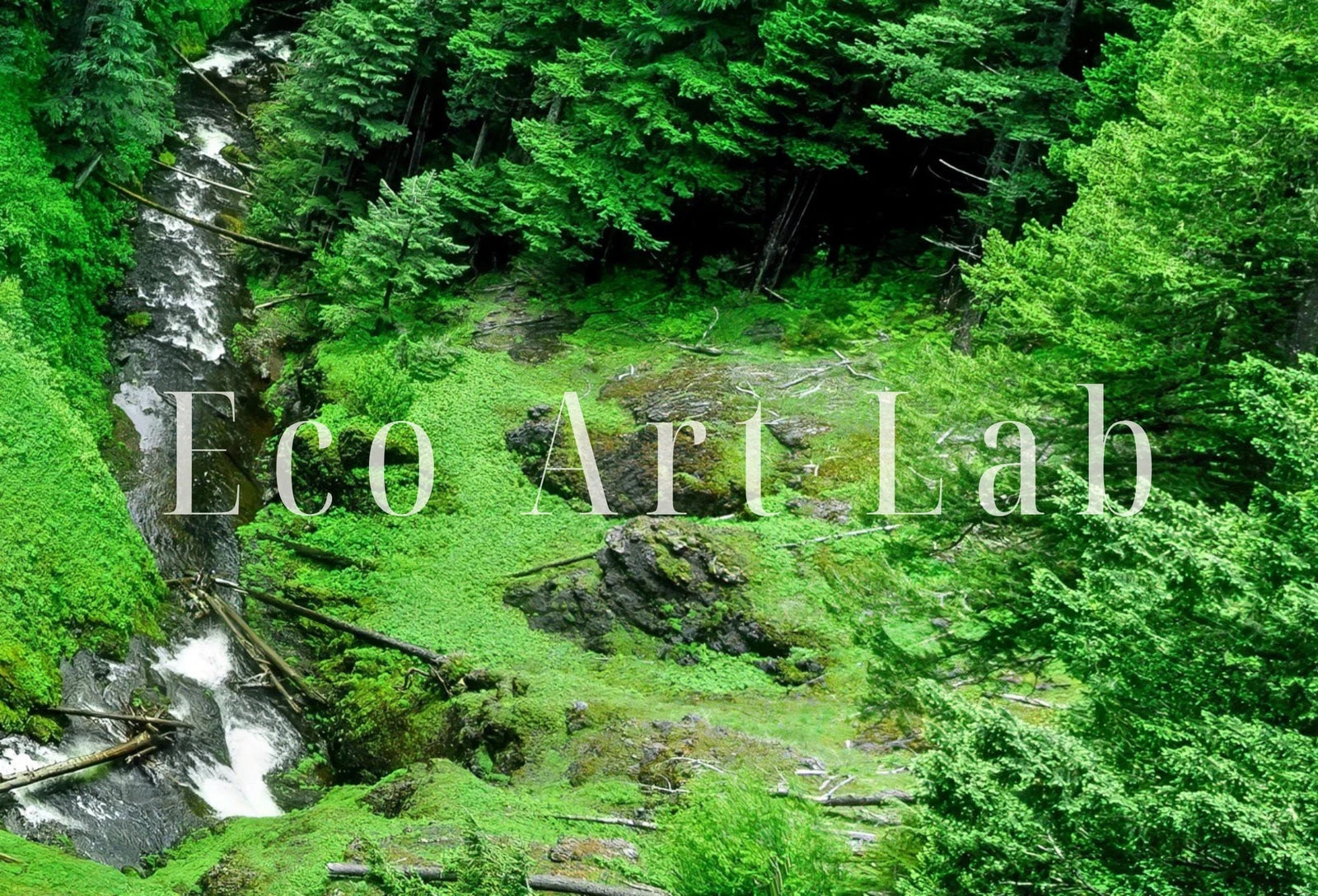 Detail view of artwork from Samsung Frame TV Art 4K Waterfall in Green Forest Photography Art. Instant Download Art for TV. Colorful Frame TV Art. Nature Wall Art. (variation 1)