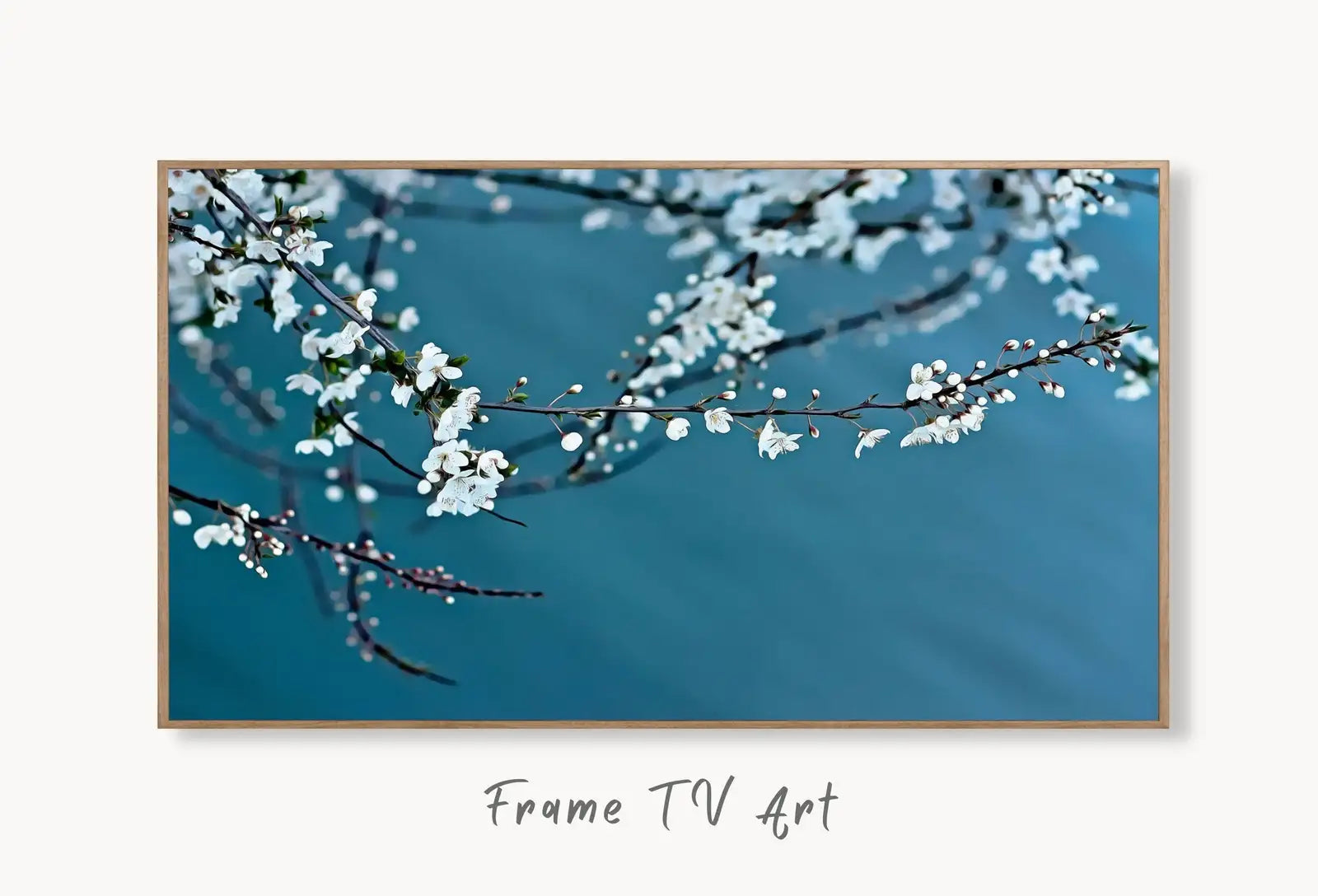 Samsung Frame TV Art 4K White Blossom Tree Digital Painting. Instant Download Cherry Blossom Floral Art for Frame TV. Botanical Wall Art displayed on Samsung Frame TV on a living room wall.