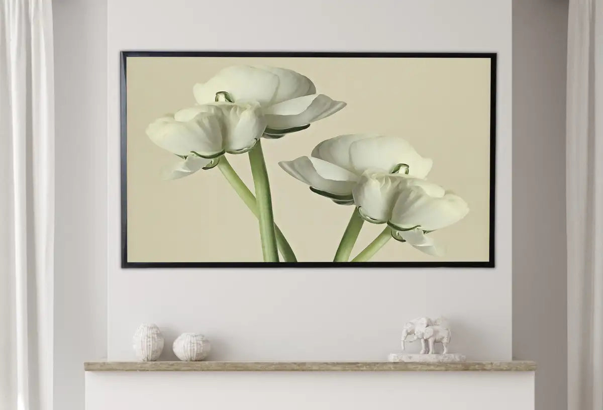 Detail view of artwork from Samsung Frame TV Art 4K White Buttercups Flowers Photography. Instant Download Floral Art for Frame TV. Minimalist Botanical Decor. (variation 2)