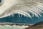Second included artwork preview from Samsung Frame TV Art 4K White Heron Tropical Bird Vintage Painting. Samsung TV Art Vintage. Digital Download Nature Art for Samsung Frame TV featuring various scenes.