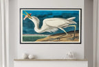 Detail view of artwork from Samsung Frame TV Art 4K White Heron Tropical Bird Vintage Painting. Samsung TV Art Vintage. Digital Download Nature Art for Samsung Frame TV. (variation 2)