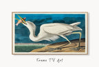 Samsung Frame TV Art 4K White Heron Tropical Bird Vintage Painting. Samsung TV Art Vintage. Digital Download Nature Art for Samsung Frame TV displayed on Samsung Frame TV on a living room wall.