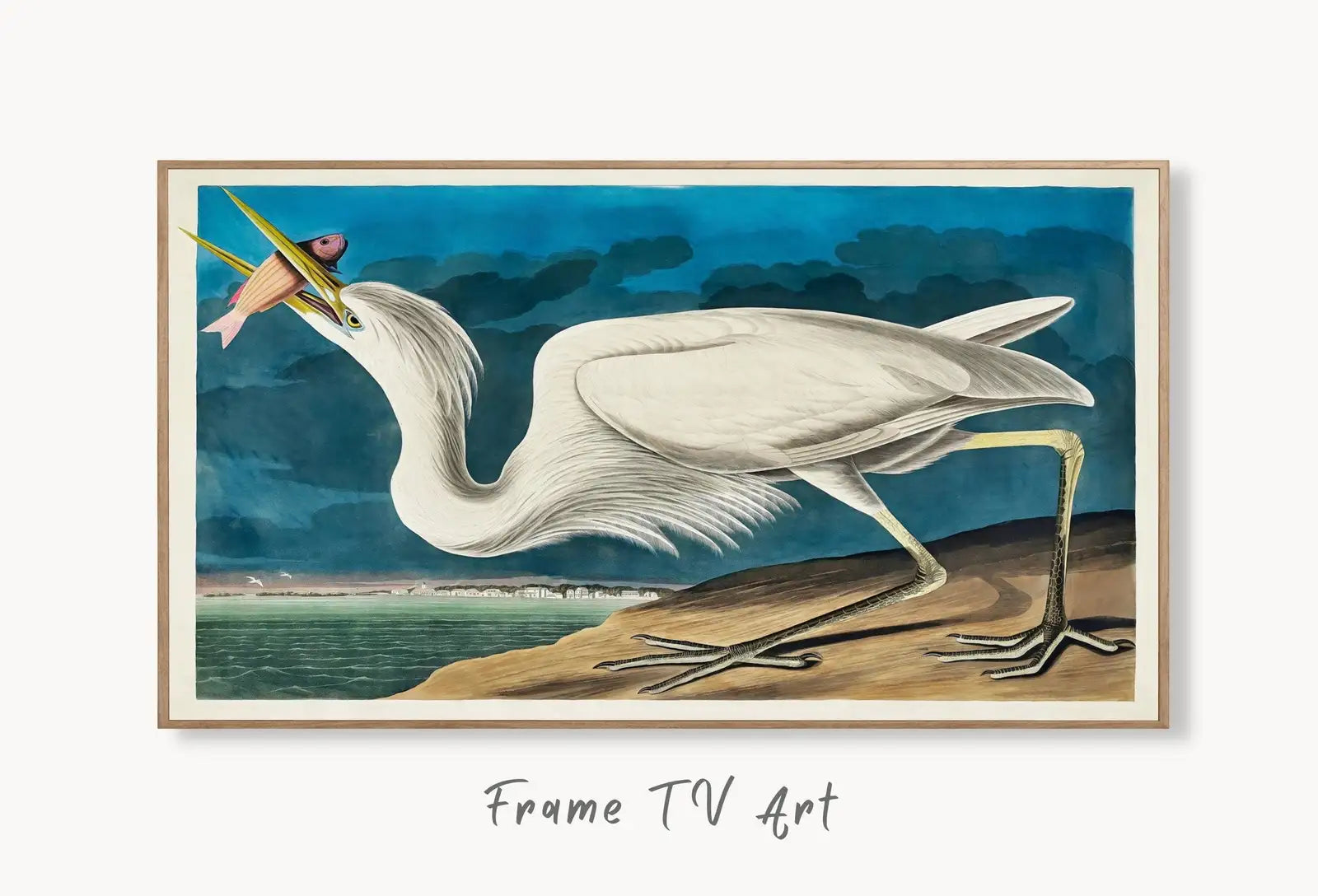 Samsung Frame TV Art 4K White Heron Tropical Bird Vintage Painting. Samsung TV Art Vintage. Digital Download Nature Art for Samsung Frame TV displayed on Samsung Frame TV on a living room wall.