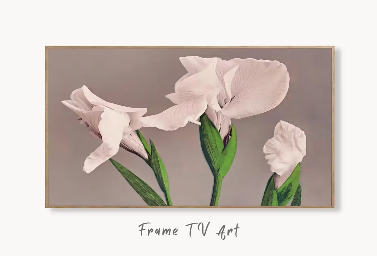Samsung Frame TV Art 4K White Irises Vintage Japanese Painting. Instant Download Antique Japanese Art for the Frame TV. Vintage Wall Art – Frame TV  Art