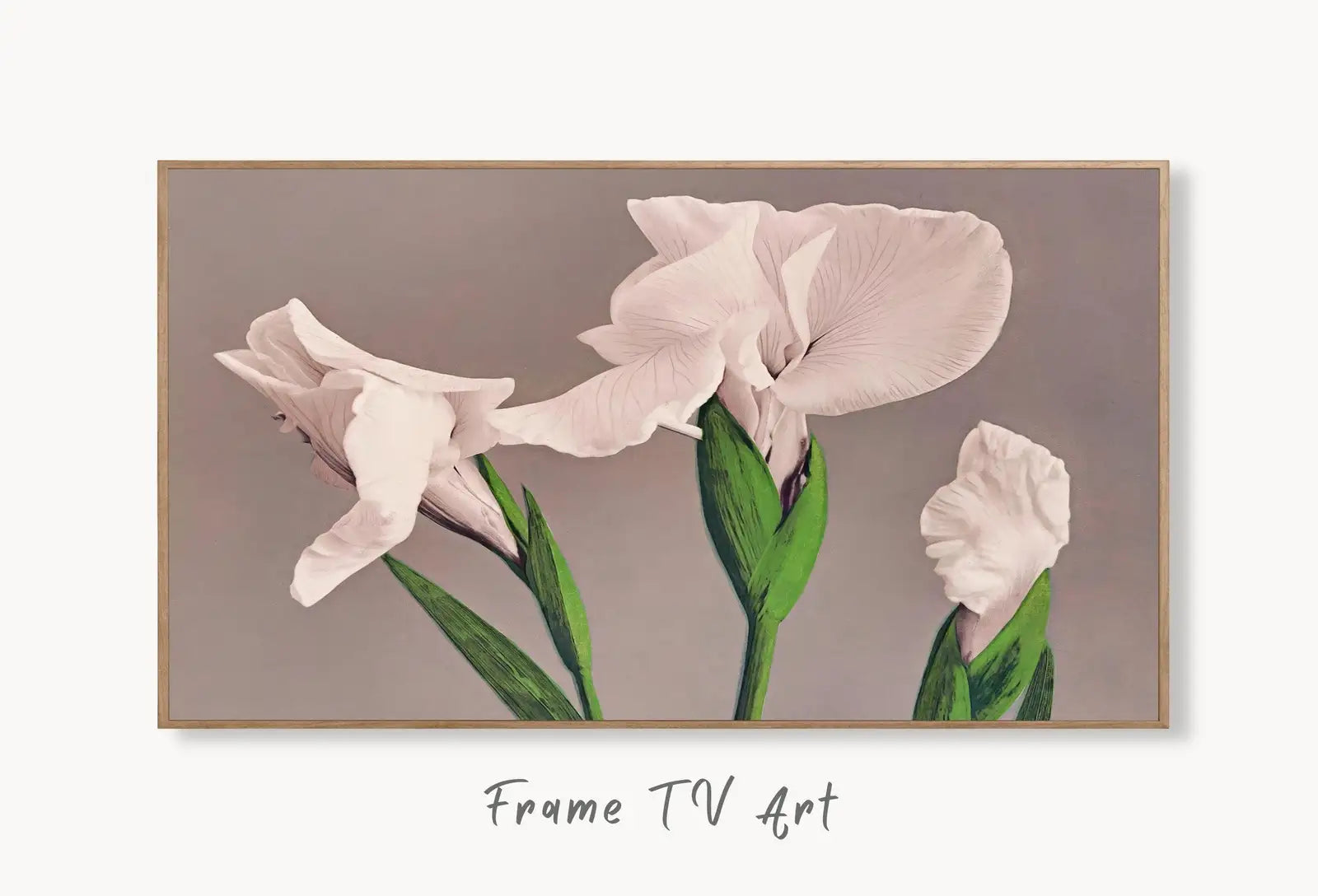 Samsung Frame TV Art 4K White Irises Vintage Japanese Painting. Instant Download Antique Japanese Art for the Frame TV. Vintage Wall Art displayed on Samsung Frame TV on a living room wall.